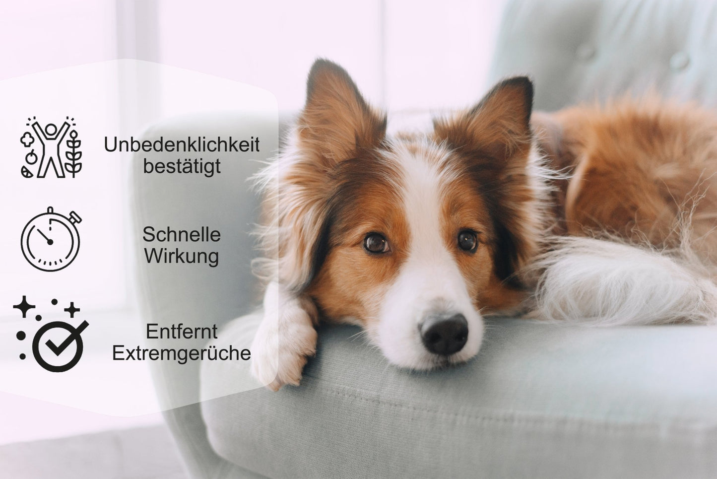 DeoDog® 500ml - DeoDog®